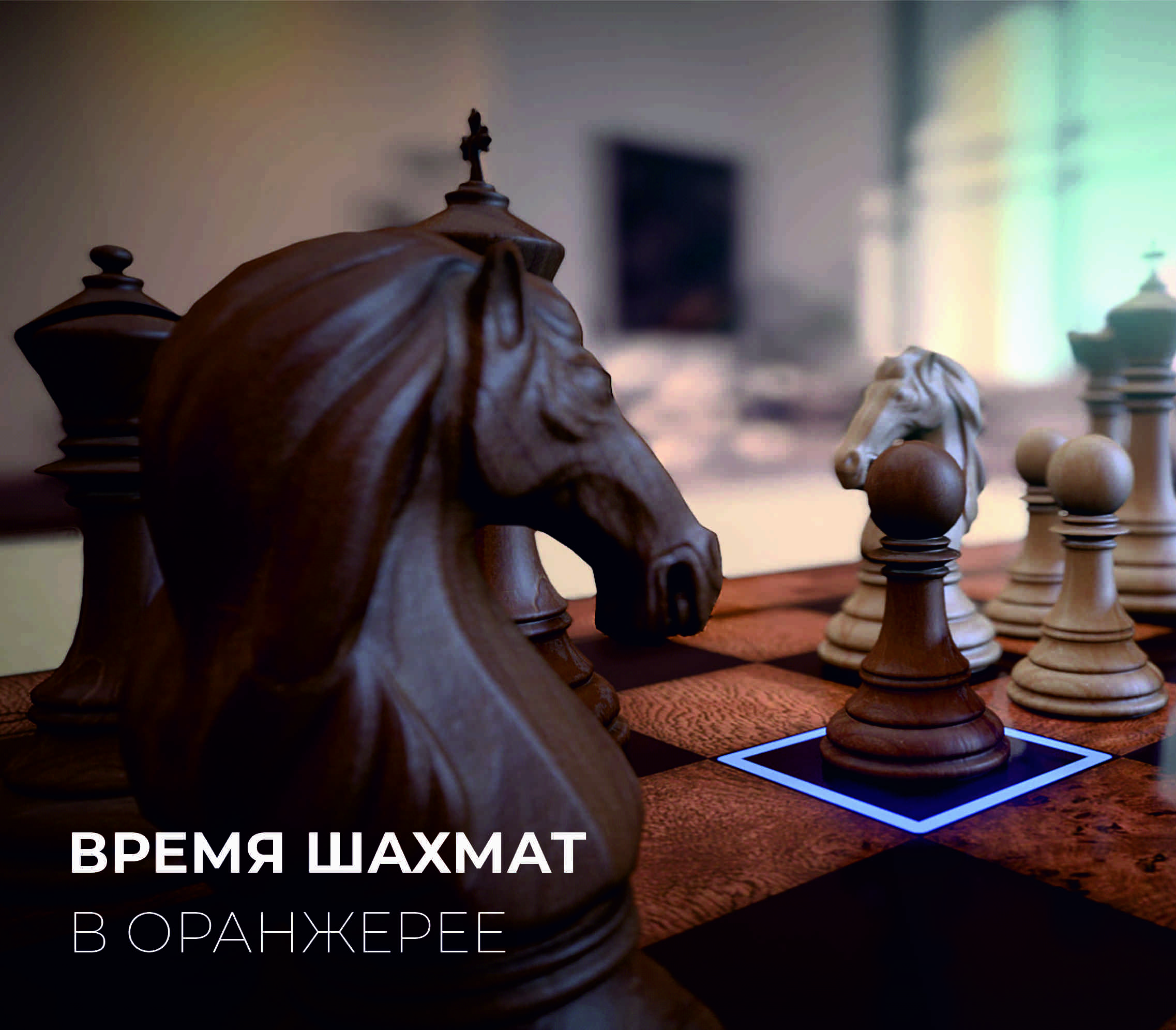 Время шахмат в Оранжерее 15.10